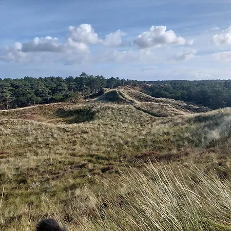 6 Person In Romo-by Traum Apartment *