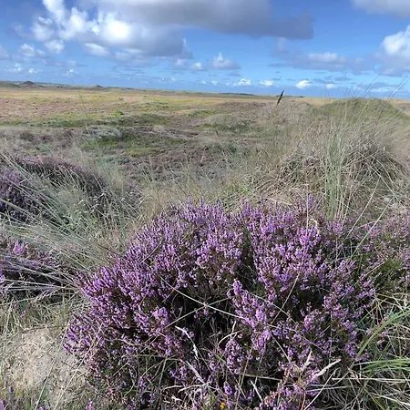 Διαμέρισμα 6 Person In Romo-by Traum *