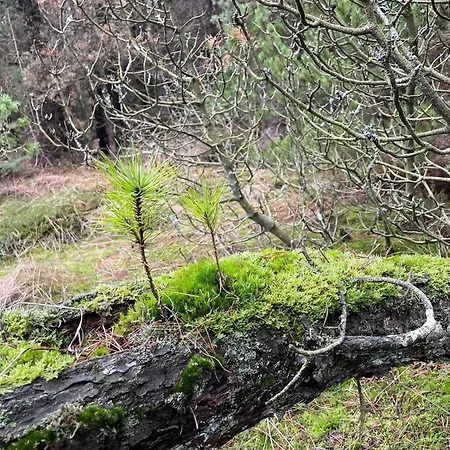 6 Person In Romo-by Traum Διαμέρισμα Rømø Kirkeby