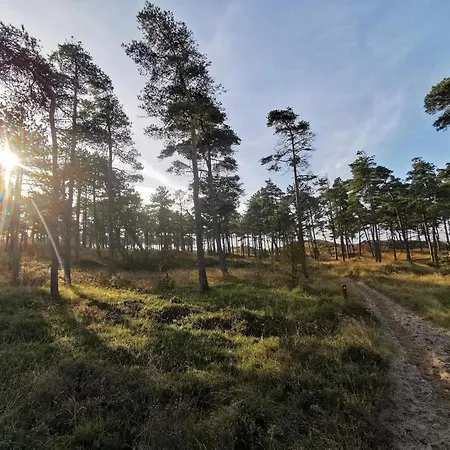 6 Person In Romo-by Traum