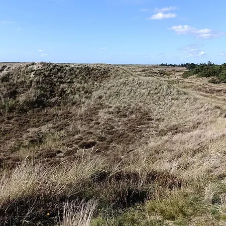 6 Person In Romo-by Traum Apartment