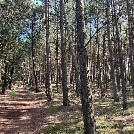 6 Person In Romo-by Traum Apartment *