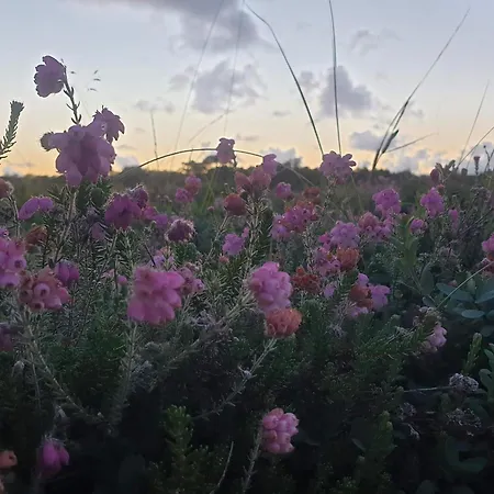 Διαμέρισμα 6 Person In Romo-by Traum